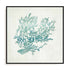 Azure Coral II Wall Art