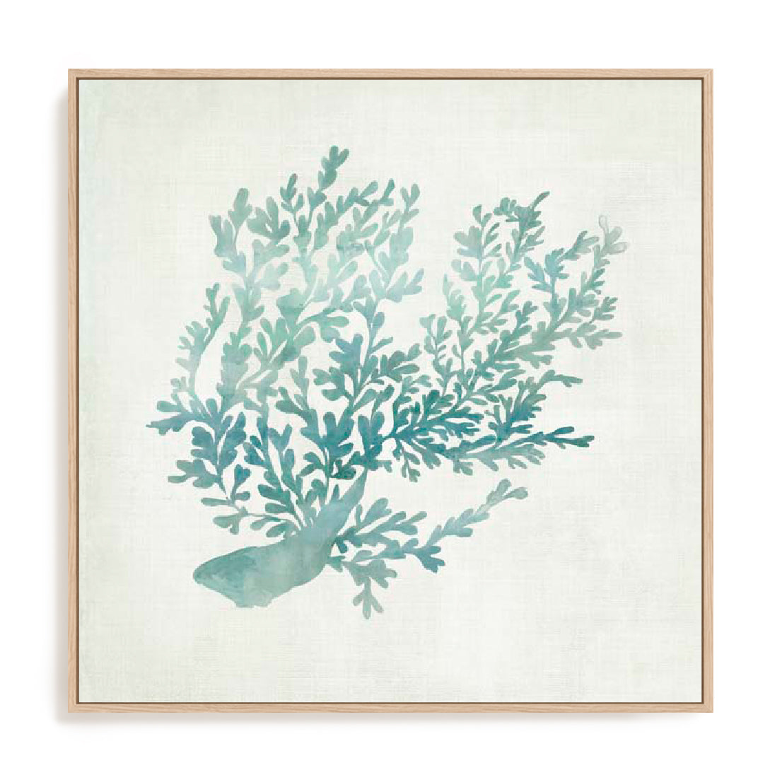 Azure Coral II Wall Art