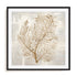 Beige Tides I Wall Art