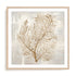 Beige Tides I Wall Art