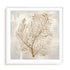 Beige Tides I Wall Art