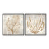 Beige Tides I and II Wall Art