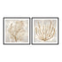 Beige Tides I and II Wall Art
