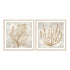 Beige Tides I and II Wall Art
