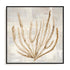 Beige Tides II Wall Art