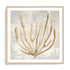 Beige Tides II Wall Art