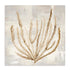 Beige Tides II Wall Art