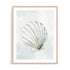 Seashell Serenity I Wall Art