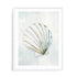 Seashell Serenity I Wall Art