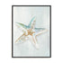 Seashell Serenity II Wall Art
