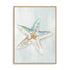 Seashell Serenity II Wall Art