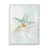 Seashell Serenity II Wall Art