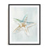 Seashell Serenity II Wall Art