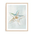 Seashell Serenity II Wall Art
