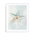 Seashell Serenity II Wall Art