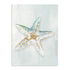 Seashell Serenity II Wall Art
