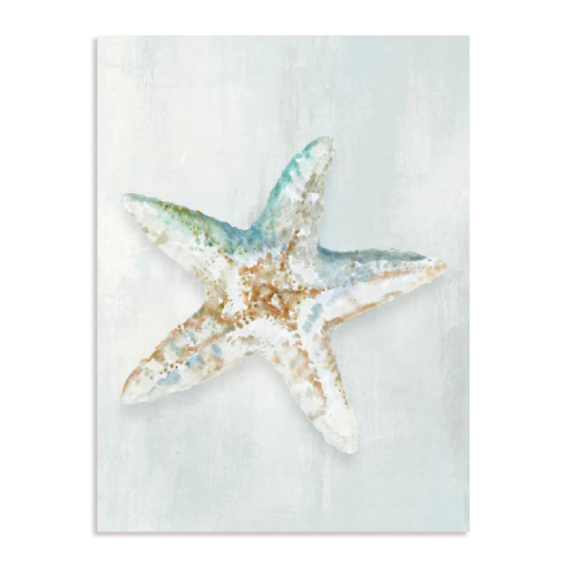 Seashell Serenity II Wall Art
