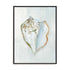 Seashell Serenity III Wall Art