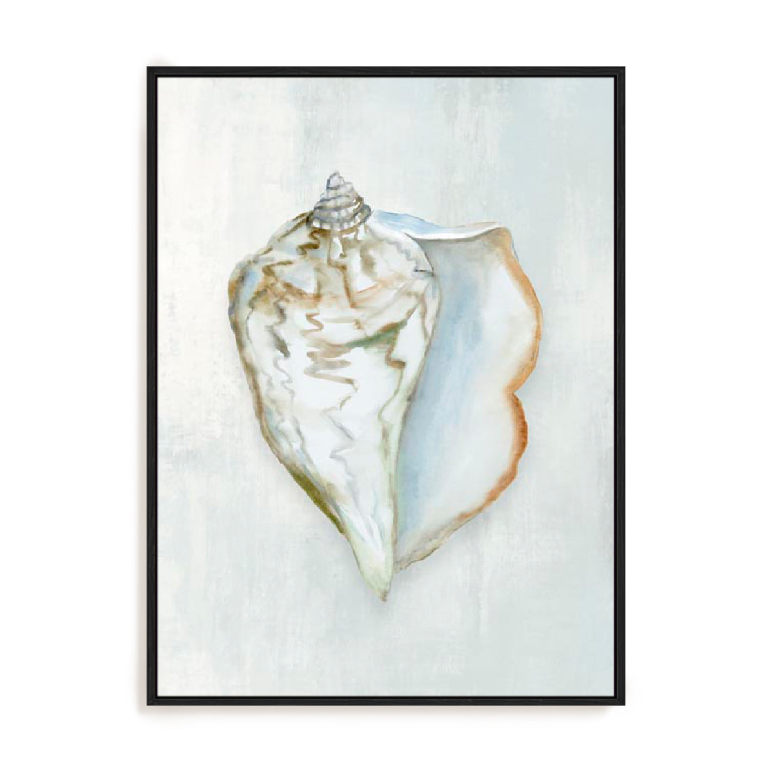 Seashell Serenity III Wall Art