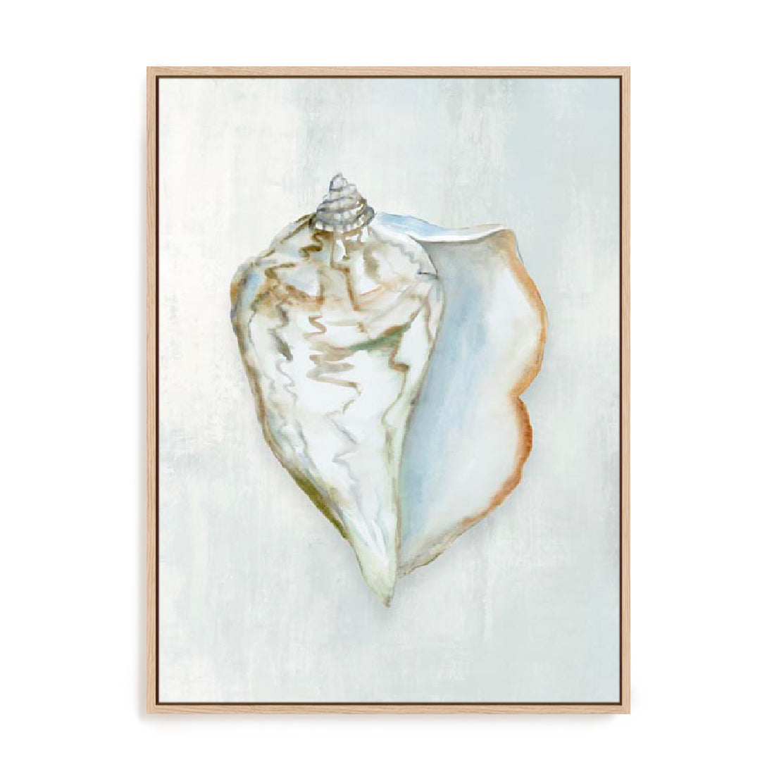 Seashell Serenity III Wall Art