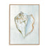 Seashell Serenity III Wall Art