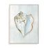 Seashell Serenity III Wall Art