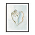 Seashell Serenity III Wall Art