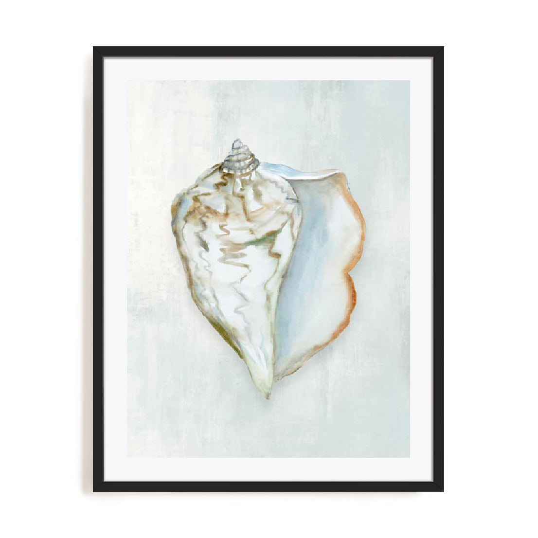 Seashell Serenity III Wall Art