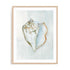 Seashell Serenity III Wall Art