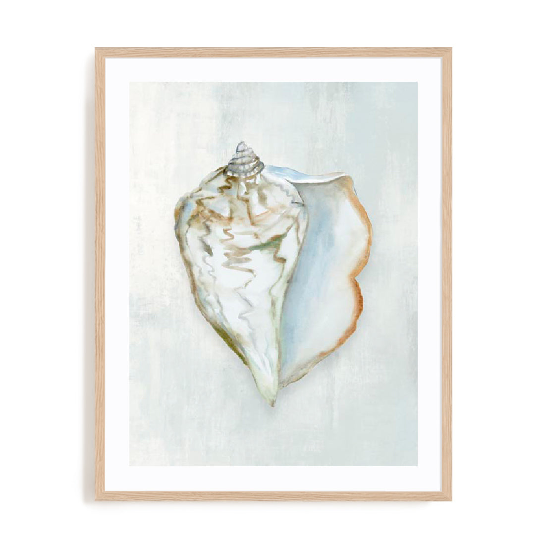 Seashell Serenity III Wall Art