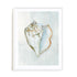 Seashell Serenity III Wall Art