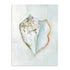 Seashell Serenity III Wall Art