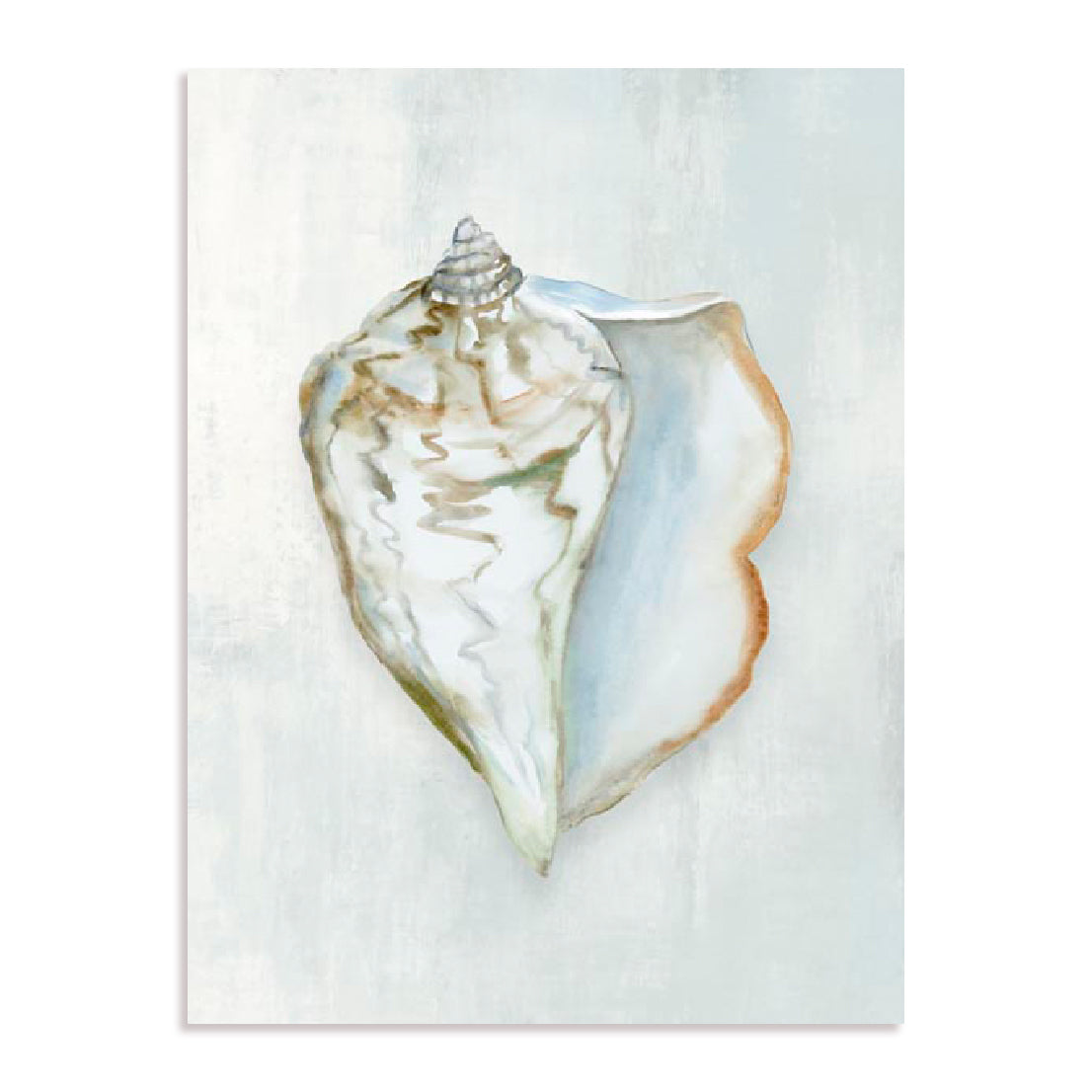 Seashell Serenity III Wall Art