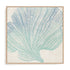 Coral Drift II Wall Art