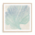 Coral Drift II Wall Art #oran_natural-white-border