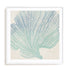Coral Drift II Wall Art #oran_white-white-border
