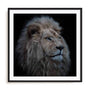 Wolbers Proud Lion Wall Art