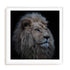 Wolbers Proud Lion Wall Art #oran_white-white-border