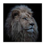 Wolbers Proud Lion Wall Art