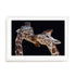 Foeger The Kiss Wall Art