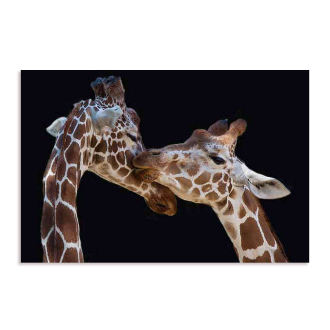 Foeger The Kiss Wall Art
