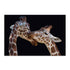 Foeger The Kiss Wall Art