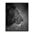 King Wall Art