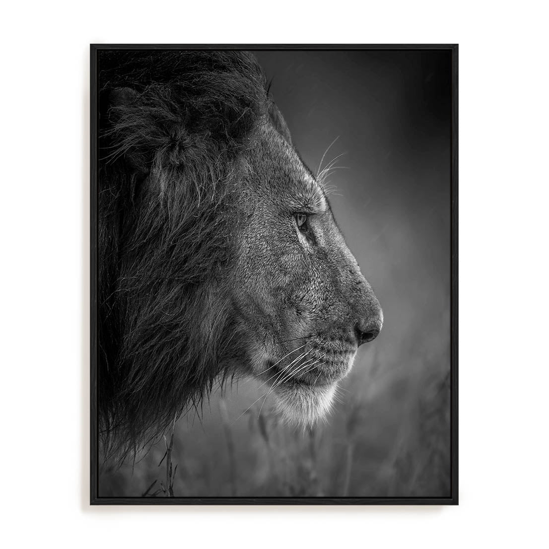 King Wall Art