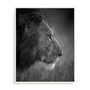 King Wall Art