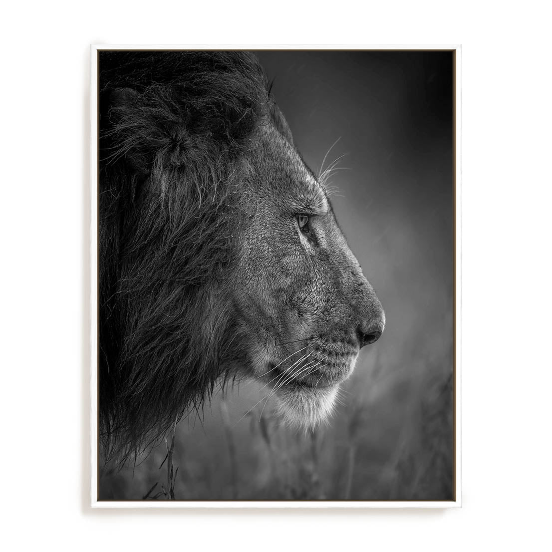 King Wall Art