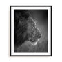 King Wall Art