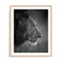 King Wall Art