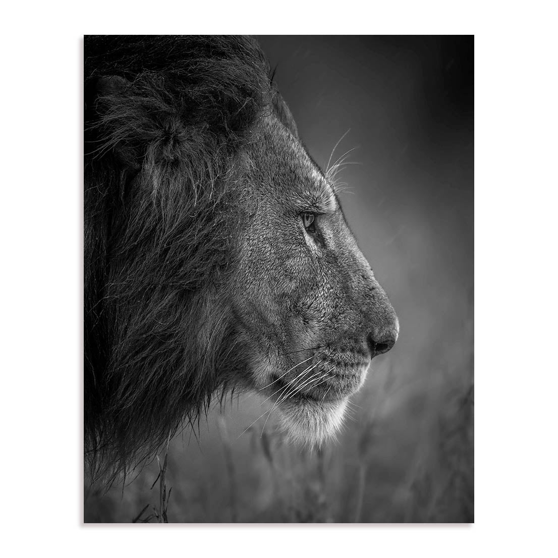 King Wall Art