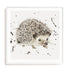 Hedgie Wall Art #oran_white-white-border